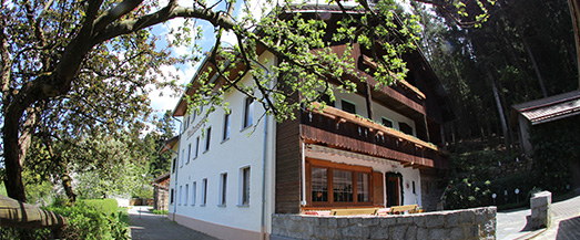 waldpension_baum_hof