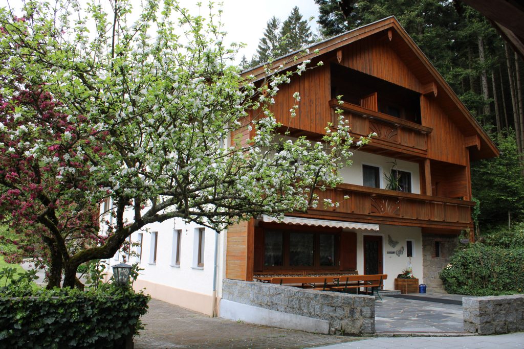 Das Haus Baum in der Waldpension bietet eine gemütliche und einladende Atmosphäre, ideal für einen entspannten Aufenthalt inmitten der Natur.